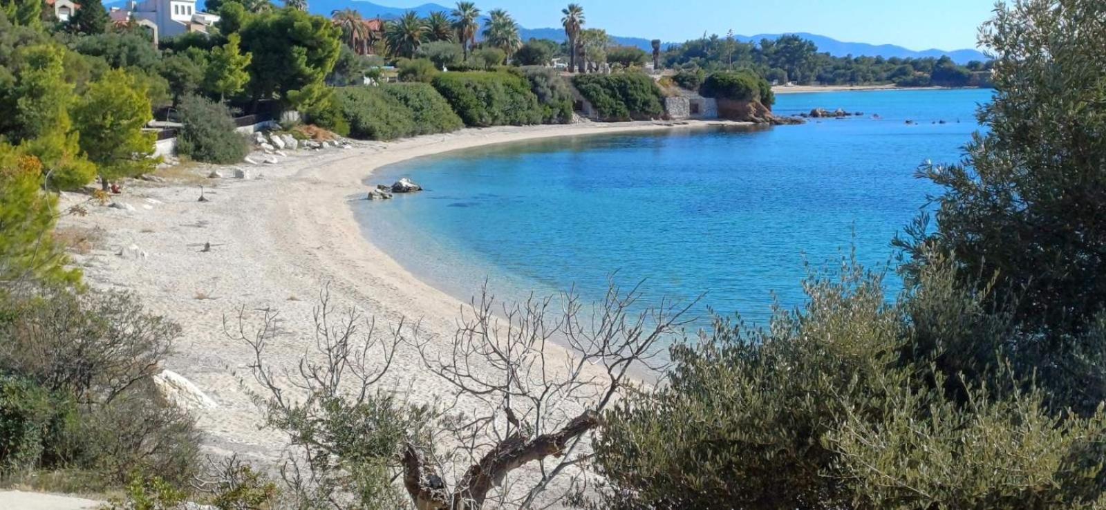 Berry House Nikiti (Sithonia)